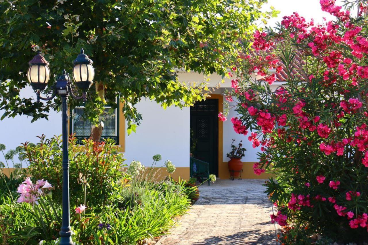 萨尔瓦特拉迪马古什 Casa Robusto旅馆 外观 照片